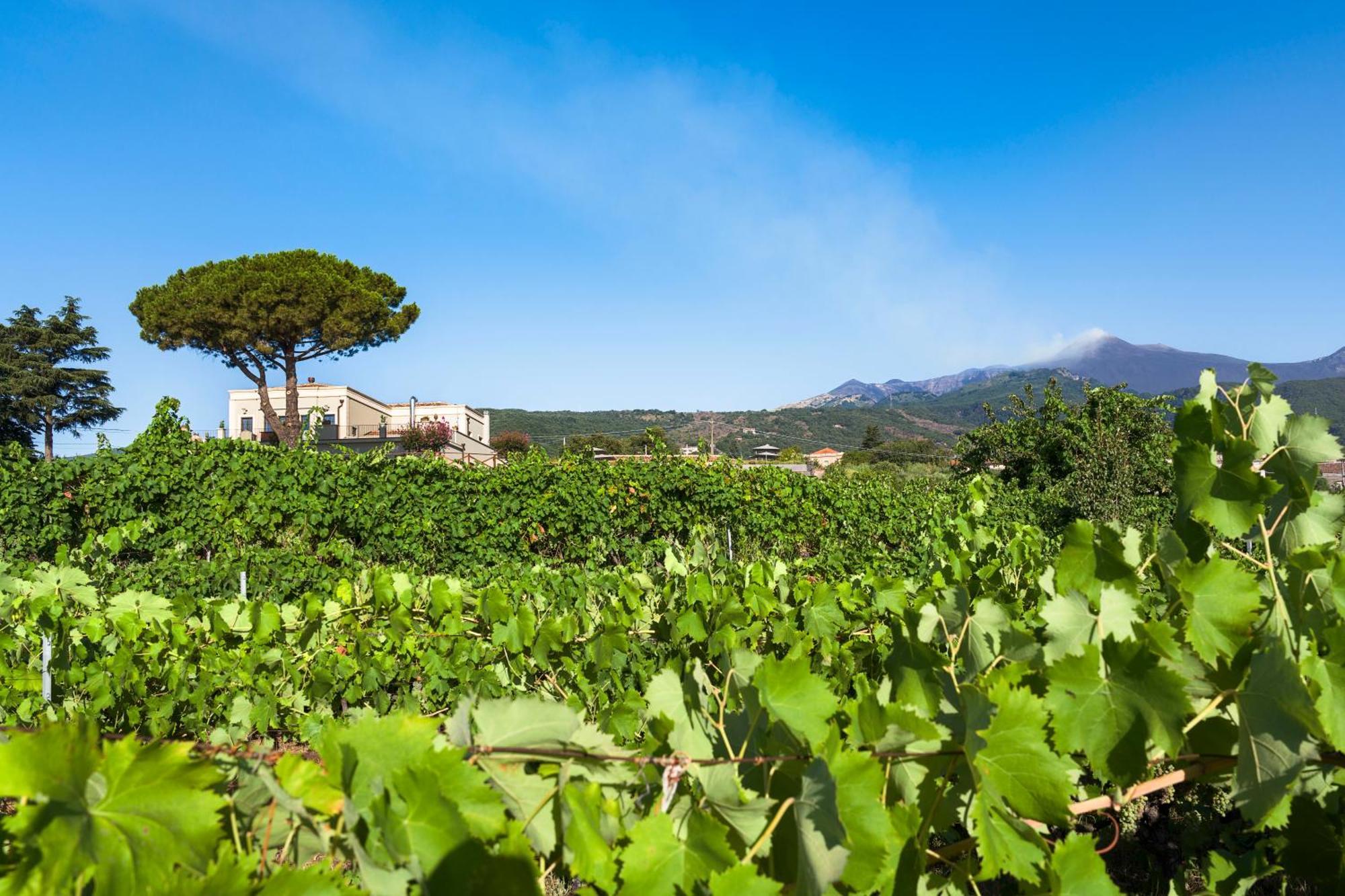 Locanda Quinto Arco Zafferana Etnea Exteriér fotografie