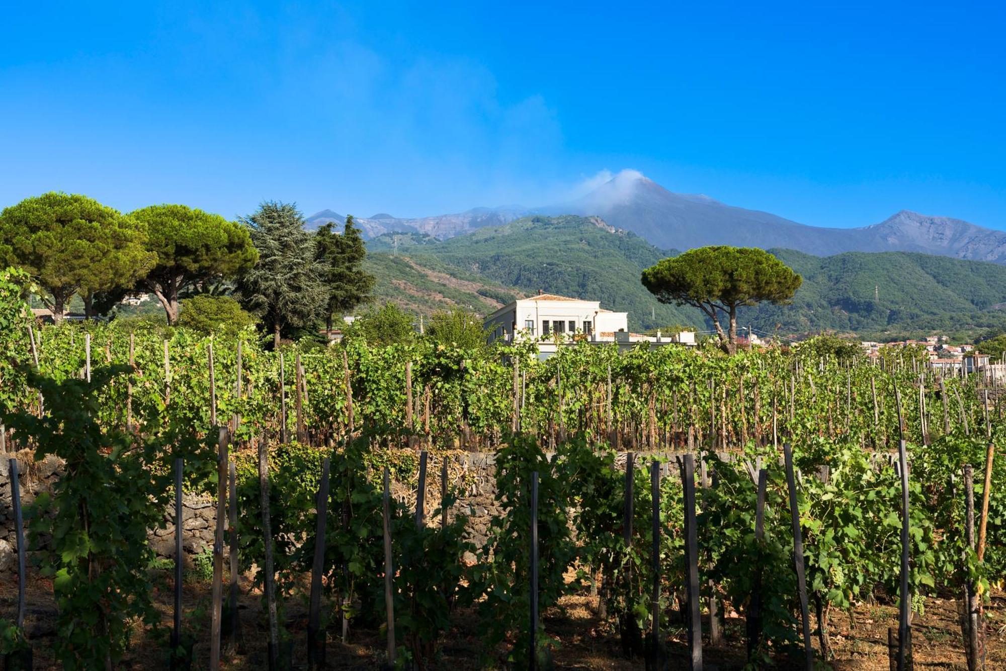 Locanda Quinto Arco Zafferana Etnea Exteriér fotografie